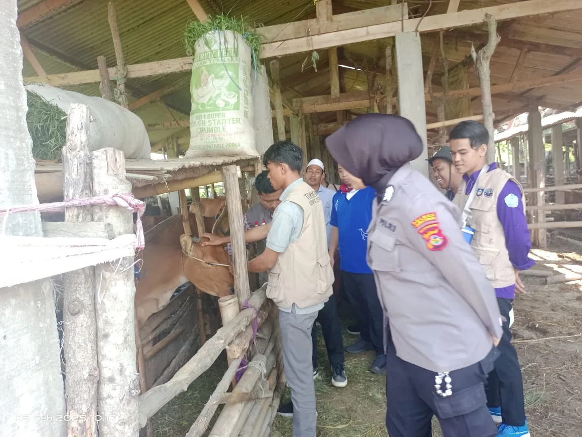 Cegah PMK, Polres Loteng Bantu Edukasi Peternak