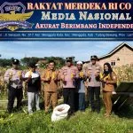 Dukung Program Ketahanan Pangan, Kasat Binmas Polres Tulang Bawang Hadiri Panen Raya Tanaman Jagung