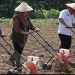 Polres Tulang Bawang Gelar Penanaman Serentak Jagung Kuartal IV dan Resmikan Gudang Ketahanan Pangan Polri