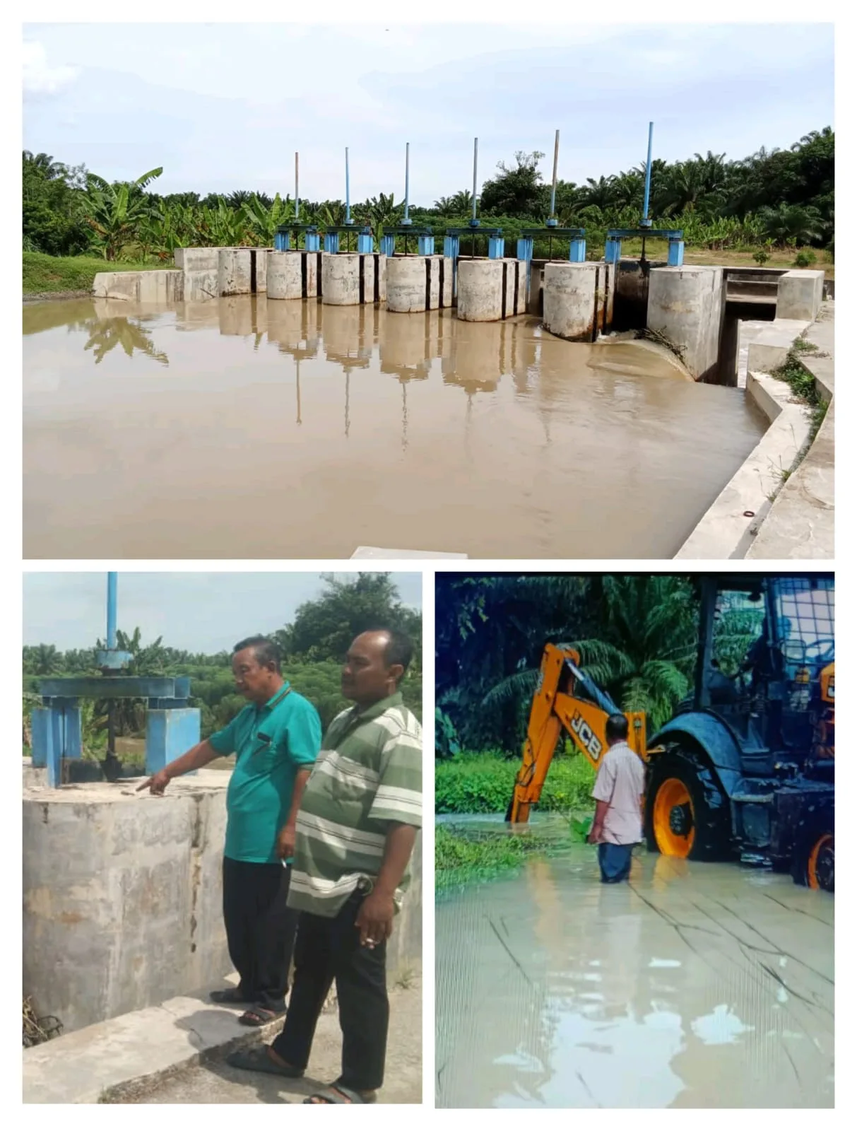 6 Pintu Air Diduga 4 Antaranya Rusak, Berakibat Banjir menggenangi Lokasi Agrowisata Buah Naga
