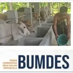 Bumdes Pekon Sukamarga Perkuat Ketahanan Pangan Tahun 2025