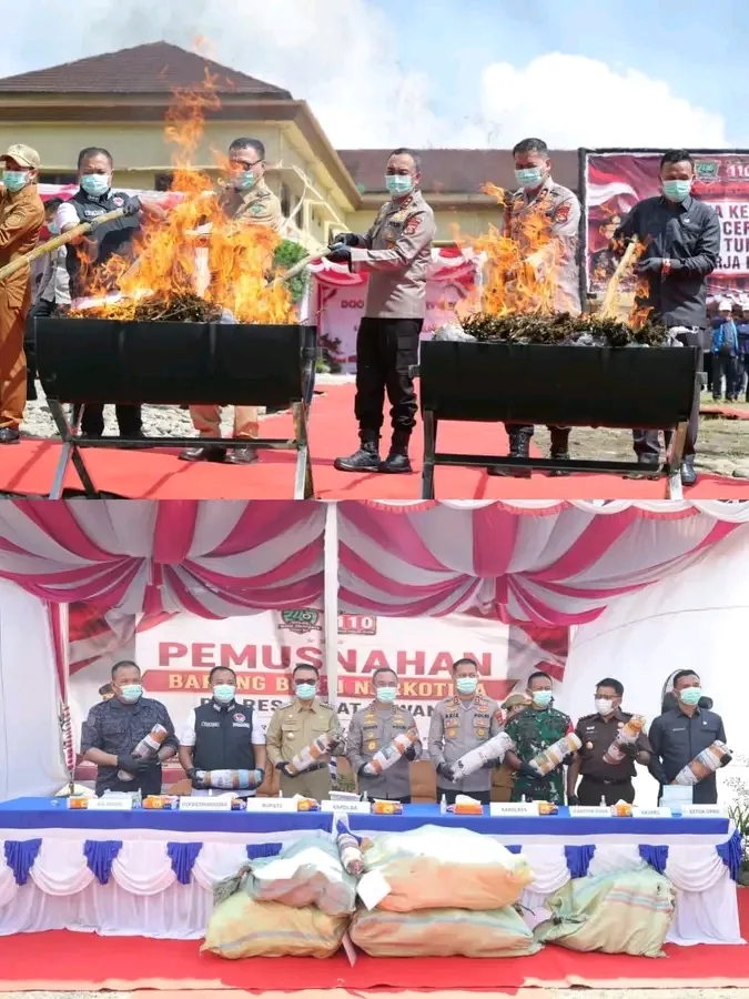 Dalam Memutuskan Mata Rantai Peredaran Narkoba Polda Sumatera Selatan Bakar. 200 Kg Ganja Hasil Ungkap Ladang 20 Hektare