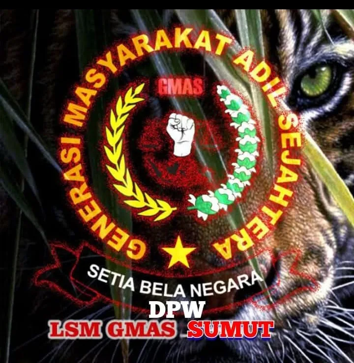 Ketua LSM GMAS Sumut Angkat Bicara Tentang Kinerja UPL Cabang Galang, Aduan Masyarakat Kabel PLN Bertahun-Tahun Berserak Di Tanah Diduga Abaikan
