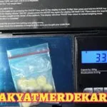 Simpan 10 Butir Ekstasi, Pria Berstatus Mahasiswa Diamankan Satresnarkoba Polres Tulang Bawang