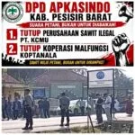 Aksi Apkasindo Pesisir Barat Di kantor Koptanala Lampung Dengan Hasil Pro Kontra