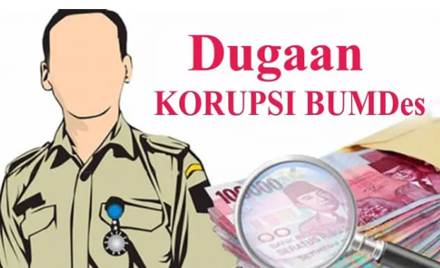 DPW LSM BARAK NKRI SUMSEL Soroti Dugaan Ketidakjelasan Alokasi BUMdes Dan Ketahanan Pangan