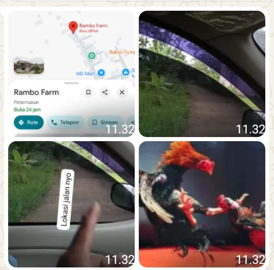 Kinerja Aparat Penegak Hukum Polres Lubuk Linggau Dipertanyakan Terkait Adanya Aktivitas Perjudian Sabung Ayam