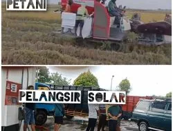 Pelangsir Atau Petani. Pemerintah Harus Pandai Memilah Arah Solar Subsidi Bagi Masyarakat Atau Kepentingan Oknum Berseragam. Subsidi Menjadi Industri.