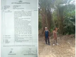 Diduga PT INDO LAMPUNG PERKASA Arogan Gusur Lahan Sawit Milik Herman BK. Laporkan Kerugian Di Sebut Mencapai Rp. 3 Miliar